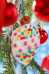 homemade gingerbread cookie hanging on christmas tree