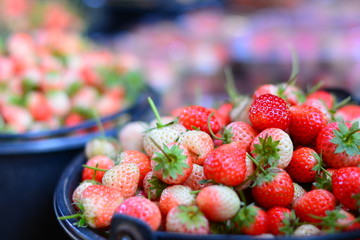 Fresh Strawberries in Street Market