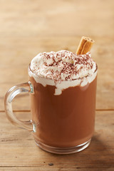 Cup of hot chocolate with whipped cream and cinnamon