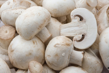 Champignon mushrooms