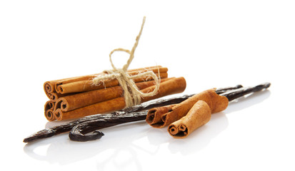 The connected cinnamon and vanilla pods