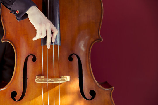 Double bass player