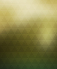 Fototapeta premium Natural Blurry Backdrop