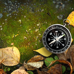 Compass on autumn foliage