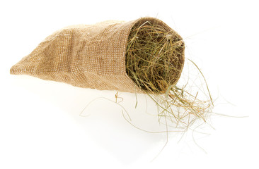 Small sack with the hay