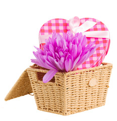 Fototapeta na wymiar basket with crocus flowers and gift box