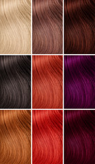 Example of different hair colors