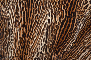 ocelot skin background
