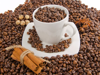 coffee beans with spice  and cup