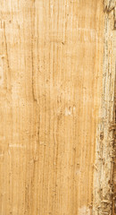 Nature Firewood texture background