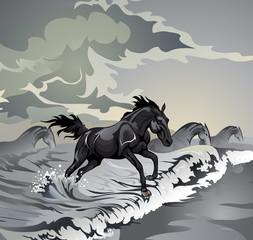 Obraz na płótnie Canvas sea horses
