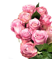 beautiful bouquet of pink roses