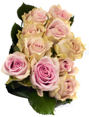 beautiful bouquet of pink roses
