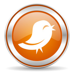 twitter icon