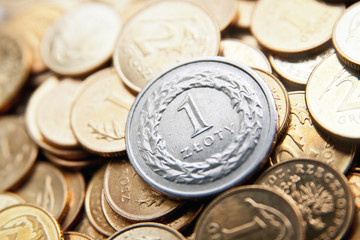 Polish currency with zloty coins