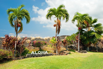 Aloha sign with palm trees on Big Island Hawaii - obrazy, fototapety, plakaty