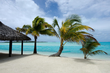 Fototapeta na wymiar Beach bungalow on tropical pacific ocean Island