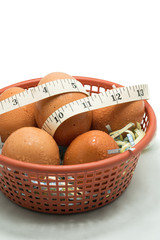 Egg in the plastic basket Isolated on white