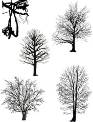 Obraz premium bare trees silhouette collection isolated on white