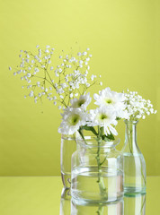 Plants in various glass containers on green background
