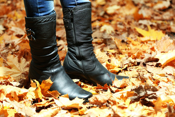 Female legs on yellow leaves background in park
