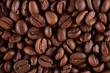 Coffee beans background