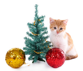 Little kitten with Christmas decorations isolated on white