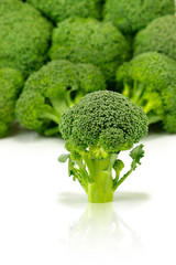 broccoli isolated image on a white background