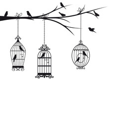 card on Valentine's day