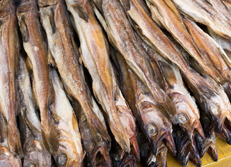 Fototapeta premium Dry salty fish