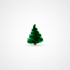 Fir tree for Christmas