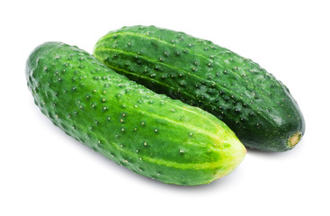 Fresh cucumber