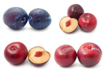Plum