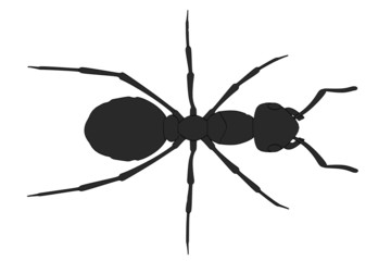 cartoon image of formica rufa