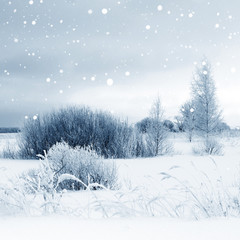 Winter picture