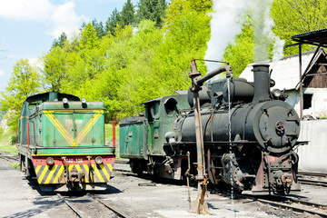 Naklejka premium locomotives, delivery point in Oskova, Bosnia and Hercegovina