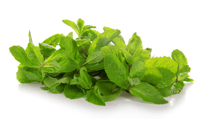 Heap of green fresh spearmint with the water drops