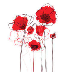 Red poppies on a white background - 58890515
