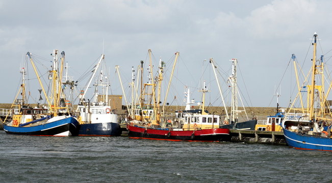 Fishing boats laying in the harbour of Lauwersoog.