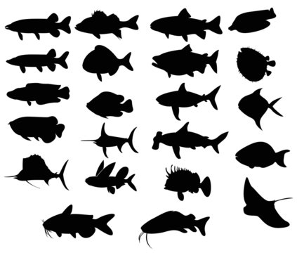 Sets of silhouette Fishes 3 (vector)