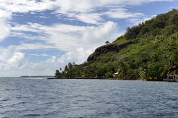 Tropical mountain beauty