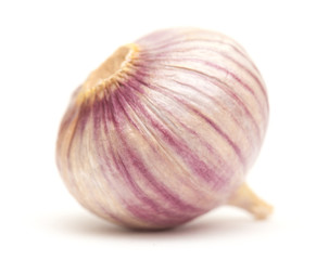 Single clove garlic