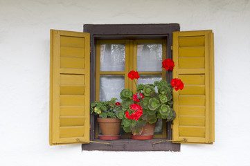 Old Window With Flowers.