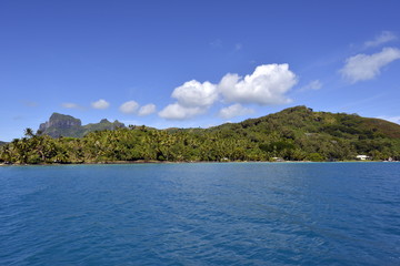 Tropical mountain beauty