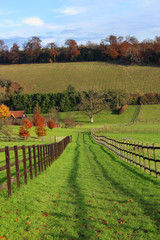 An English Rural Landscape in Autumn