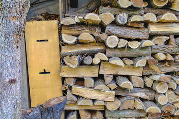 Woodshed color image