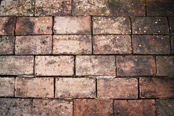Obraz premium Paving Brick