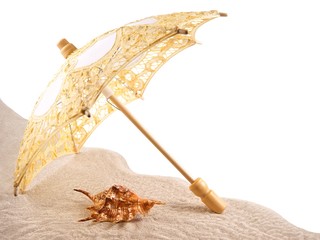 Shell under an umbrella on the sand, white background