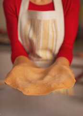 Closeup on smiling young housewife with dough