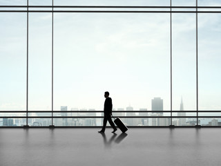 businessman with luggage